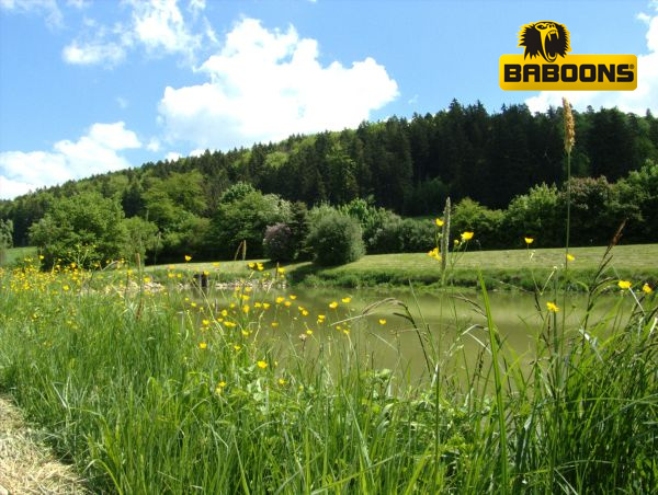 Altmühltrail 2013 - Allgemein