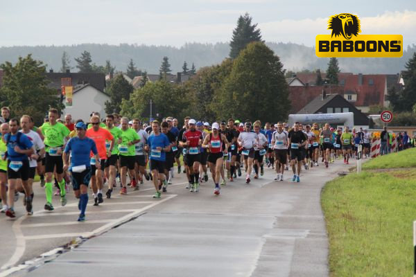 Seenlandmarathon 2014