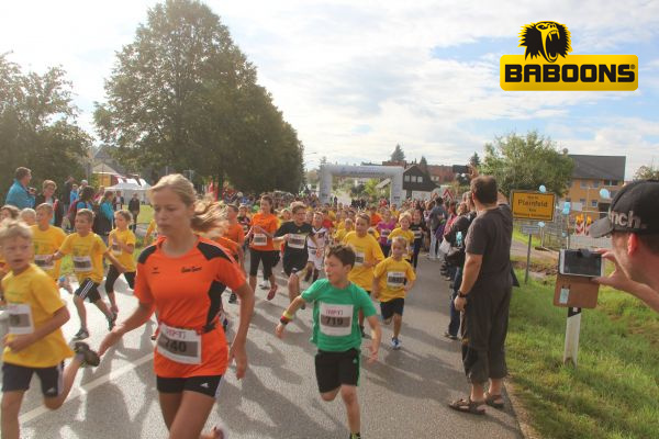 Seenlandmarathon 2014