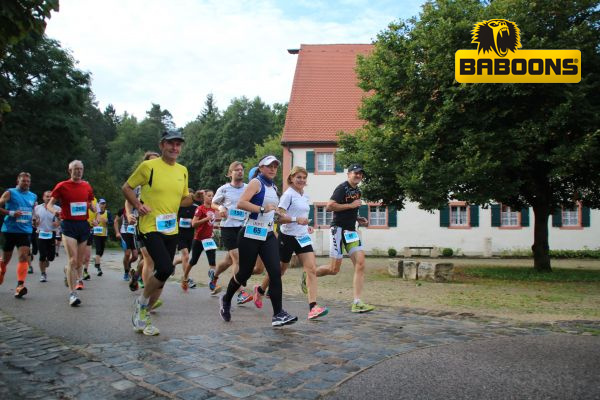 Seenlandmarathon 2014