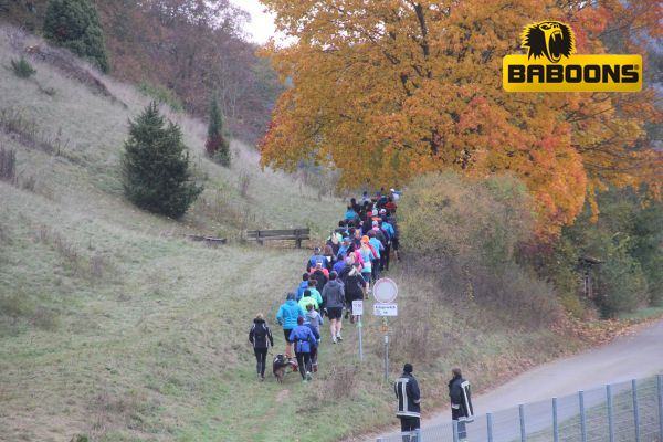 Altmühltrail 2016