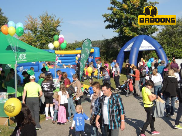 SLM 2012