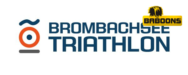 Logo BST